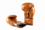 PROFESIONÁLNE BOXERSKÉ RUKAVICE Z PRÍRODNEJ KOŽE EVOLUTION RETRO 16 OZ PROFESIONÁLNE BOXERSKÉ RUKAVICE Z PRÍRODNEJ KOŽE EVOLUTION RETRO 16 OZ