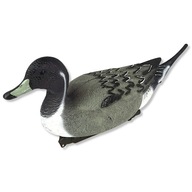 Pintail duck 50 cm - veľká plávajúca figúrka