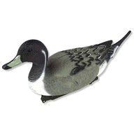 Pintail duck 50 cm - veľká plávajúca figúrka Pintail duck 50 cm - veľká plávajúca figúrka
