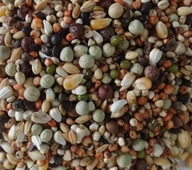 Zmes pre MLADÉ holuby BestNatural 20kg Zmes pre MLADÉ holuby BestNatural 20kg