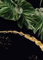 Plagát Monstera Plagáty na rám B2 70x50cm Plagát Monstera Plagáty na rám B2 70x50cm