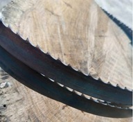 Pásová píla 10x0,65 1640 PILANA stolárske drevo