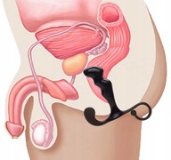 Análny masážny prístroj prostaty pre mužov ABS