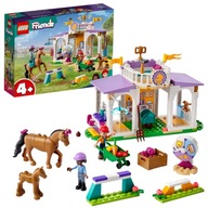 LEGO FRIENDS SADA NA VÝCVIK KONÍ BLOKUJE 134 PRVKOV LEGO FRIENDS SADA NA VÝCVIK KONÍ BLOKUJE 134 PRVKOV