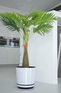 SUPERIOR kvetináč + luxusný závit26 elegantný veľ SUPERIOR kvetináč + luxusný závit26 elegantný veľ