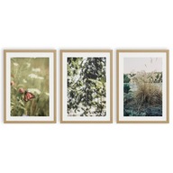 PLAGÁTY A3 SET TRÁVA BOHO MOTÝĽ ZELENÁ PRÍRODA PLAGÁTY A3 SET TRÁVA BOHO MOTÝĽ ZELENÁ PRÍRODA