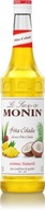 Pina colada sirup Monin kokosovo-ananás + zadarmo*