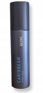 GLYNT WAX Spray Caribbean Wax Shines 150ml