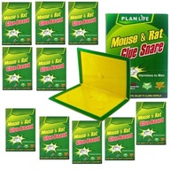 10x BUZZNAP LEP PASCA NA MYŠI VEĽKÁ 10x BUZZNAP LEP PASCA NA MYŠI VEĽKÁ