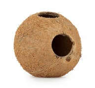Happet 1/1 kokosová škrupina, nečesaná, 3 ks.