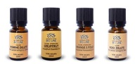 HANUMAN Sada antistresových olejov 10ml x 4 ks HANUMAN Sada antistresových olejov 10ml x 4 ks