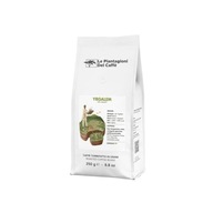 Le Piantagioni del Caffe - Etiópia Yrgalem 250g Le Piantagioni del Caffe - Etiópia Yrgalem 250g