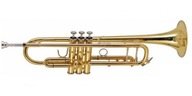 EVER PLAY T-390 Bachova trúbka s puzdrom
