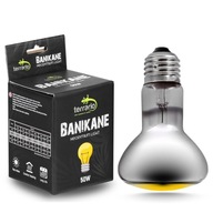 Terrario Banikane Neodymium Light - 50W neodymová výhrevná žiarovka