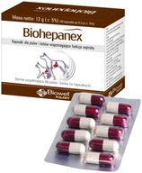 Kapsuly BiohePanex 40 podporujú pečeň Kapsuly BiohePanex 40 podporujú pečeň