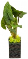 UMELÁ RASTLINA 25 CM V KERAMICKOM ČRENÁRE UMELÁ RASTLINA 25 CM V KERAMICKOM ČRENÁRE