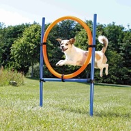 Obruč pre agility pre psov Trixi Obruč pre agility pre psov Trixi