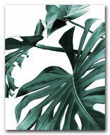 Plagát MONSTER LEAVES 40x50 cm obrázok #138 Plagát MONSTER LEAVES 40x50 cm obrázok #138