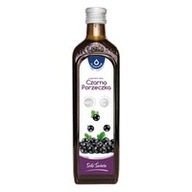 Šťava z čiernych ríbezlí s vitamínom C, 490 ml Šťava z čiernych ríbezlí s vitamínom C, 490 ml