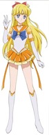 Bishoujo Senshi Sailor Moon bssm_106 A3 (vlastné) Bishoujo Senshi Sailor Moon bssm_106 A3 (vlastné)
