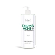 FARMONA DERMAACNE+ ANTIBAKTERIÁLNE TONIKUM 500 ml FARMONA DERMAACNE+ ANTIBAKTERIÁLNE TONIKUM 500 ml