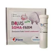 JFarm Bolus Soma Farm cesnak - na bunky