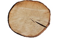 Veľký kotúč zo smrekového dreva 40 - 45 cm