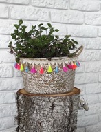 Boho scandi košík z morskej trávy s bielymi strapcami Boho scandi košík z morskej trávy s bielymi strapcami