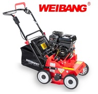 Vertikutátor WB 384 RB Weibang Briggs sklápacie nože Vertikutátor WB 384 RB Weibang Briggs sklápacie nože