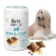 BRIT VITAMINS SKIN COAT VITAMÍNOVÝ POMÔCOK PRE PSA PRE KOŽU A SRSŤ 150G BRIT VITAMINS SKIN COAT VITAMÍNOVÝ POMÔCOK PRE PSA PRE KOŽU A SRSŤ 150G