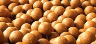 STARBAITS Scopex 20mm boilies 1kg STARBAITS Scopex 20mm boilies 1kg