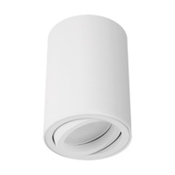 STRUHM Stropné svietidlo bodové BEMOL DWL GU10 WHITE 03537 STRUHM Stropné svietidlo bodové BEMOL DWL GU10 WHITE 03537