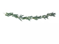 Garland Willow opúšťa 200 m Garland Willow opúšťa 200 m