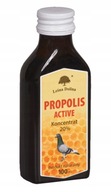 FOREST VALLEY Propolis active 100 ml pre holuby