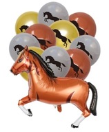 SADA BALÓNOV BALÓN KôŇ KôŇ PONY HEL NARODENINY 13KS SADA BALÓNOV BALÓN KôŇ KôŇ PONY HEL NARODENINY 13KS