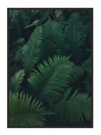 OBRAZOVÝ PLAGÁT V RÁME 33x43 cm Listy P642 OBRAZOVÝ PLAGÁT V RÁME 33x43 cm Listy P642