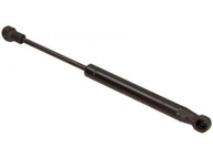 AKTUÁTOR MAGNETI MARELLI 430719063600 AKTUÁTOR MAGNETI MARELLI 430719063600
