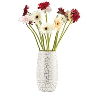 Sklenená váza Colantha Crackle 25cm TREND DO DOMOV