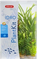 ZOLUX PLANTKIT IDRO N°4 Akvarijné rastliny ZOLUX PLANTKIT IDRO N°4 Akvarijné rastliny