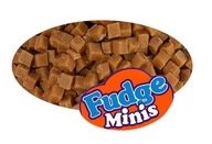 Fudge topping 1000 g