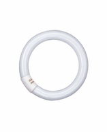 L 32W/840 G10Q Osram L 32W/840 G10Q Osram