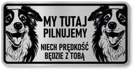 Pozor pes Border Collie sign Pozor pes Border Collie sign