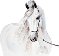 Samolepky na stenu pre deti White Horse D312 100cm Samolepky na stenu pre deti White Horse D312 100cm