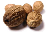 MUŠKÁTOVÝ ORIEŠOK CELÝ 2kg MUŠKÁTOVÝ ORIEŠOK CELÝ 2kg