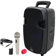 Stĺpové Bluetooth USB FM rádio + Bezdrôtový mikrofón