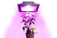 GROW Celospektrálne biele LED svietidlo pre rastliny, 500W