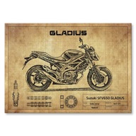 Suzuki SFV650 GLADIUS darček kovový plagát L Suzuki SFV650 GLADIUS darček kovový plagát L
