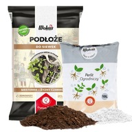 Pôda, osivové lôžko 20L + perlit 10L Pôda, osivové lôžko 20L + perlit 10L
