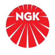 ZAPAĽOVACIA SVIEČKA NGK V-LINE 30 NGK 6343