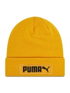 TEPLÉ, ŠPORTOVÉ, DÁMSKE, PÁNSKE, ZIMNÉ ČIAPKY, PUMA TEPLÉ, ŠPORTOVÉ, DÁMSKE, PÁNSKE, ZIMNÉ ČIAPKY, PUMA